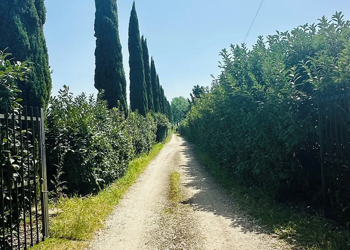 In Guest - Bb - Country House, Rent- Gasthof Rom